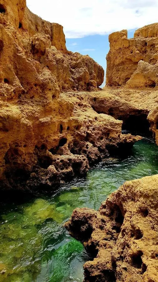 Albufeira Ocean Terrace Apartment