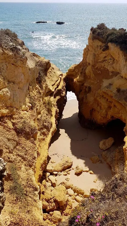 Albufeira Ocean Terrace Apartment