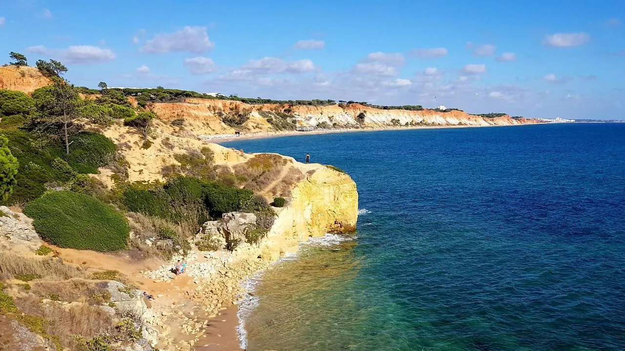 Albufeira Ocean Terrace Apartment