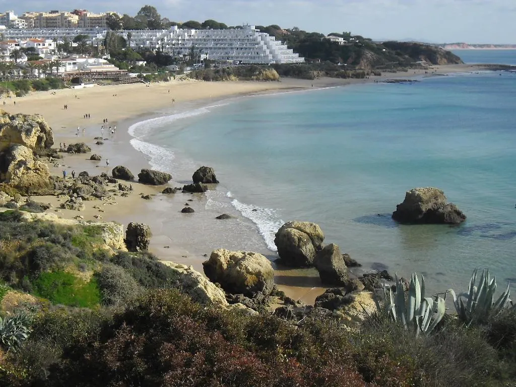 Albufeira Ocean Terrace Apartment 0*,